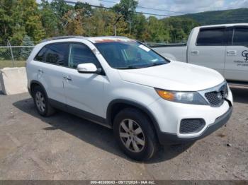  Salvage Kia Sorento