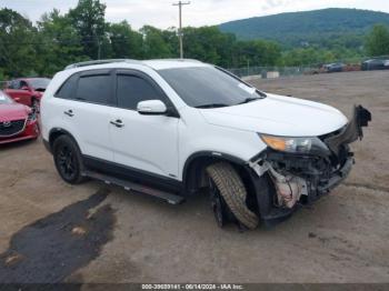  Salvage Kia Sorento