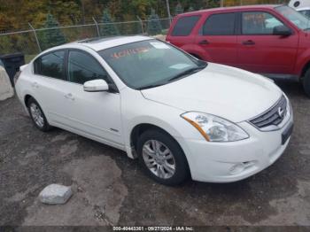  Salvage Nissan Altima