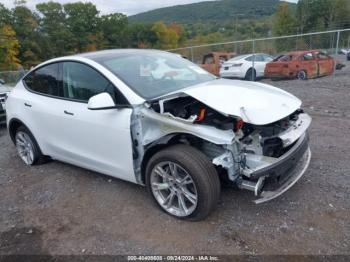  Salvage Tesla Model Y