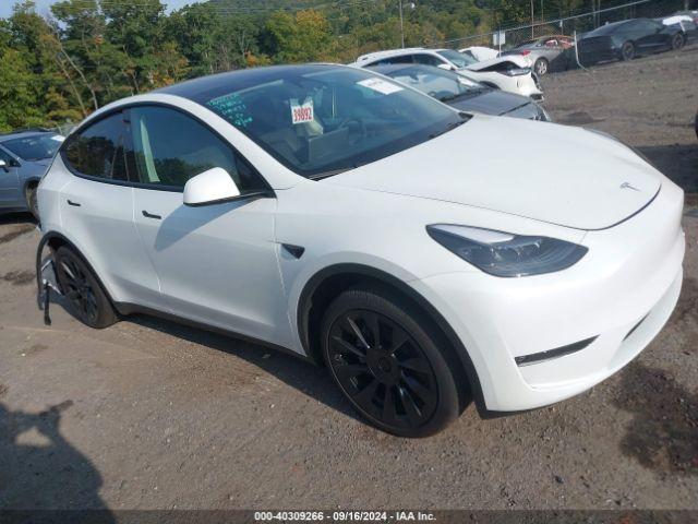  Salvage Tesla Model Y