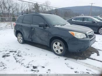  Salvage Subaru Forester