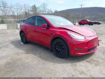  Salvage Tesla Model Y