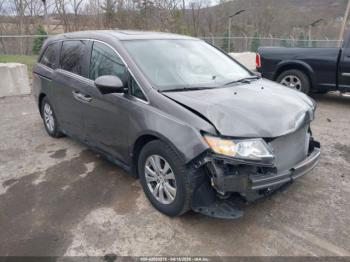  Salvage Honda Odyssey