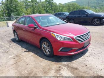  Salvage Hyundai SONATA