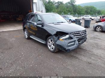  Salvage Mercedes-Benz M-Class