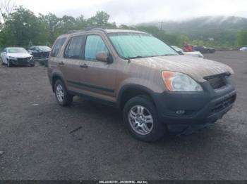  Salvage Honda CR-V
