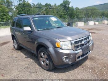  Salvage Ford Escape