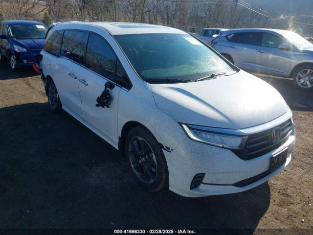  Salvage Honda Odyssey