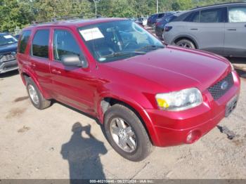  Salvage Ford Escape
