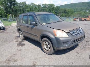  Salvage Honda CR-V