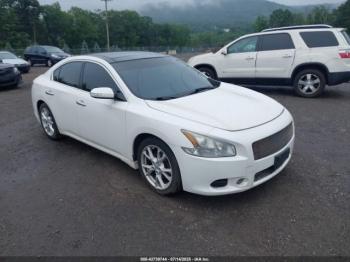  Salvage Nissan Maxima