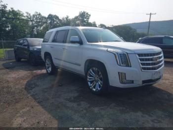  Salvage Cadillac Escalade