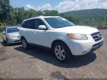  Salvage Hyundai SANTA FE