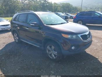  Salvage Kia Sorento