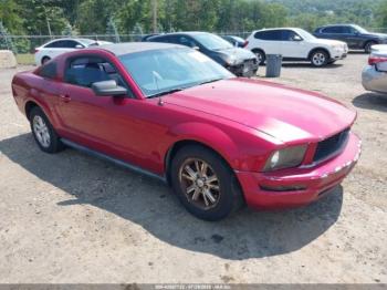  Salvage Ford Mustang