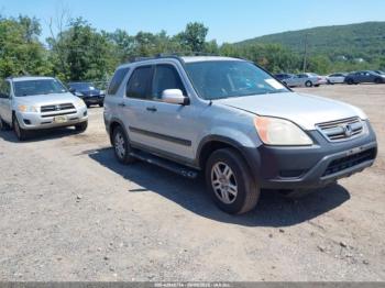  Salvage Honda CR-V