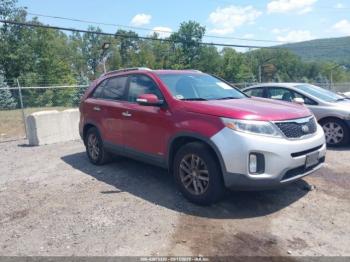  Salvage Kia Sorento