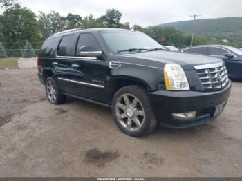  Salvage Cadillac Escalade