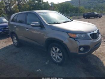  Salvage Kia Sorento