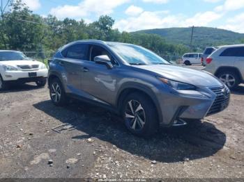  Salvage Lexus NX
