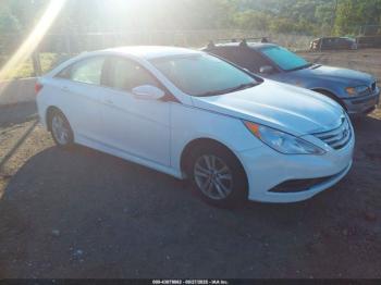  Salvage Hyundai SONATA