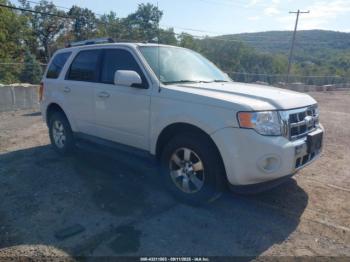  Salvage Ford Escape