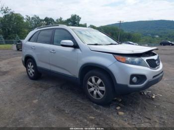  Salvage Kia Sorento