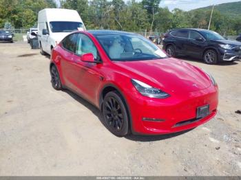  Salvage Tesla Model Y