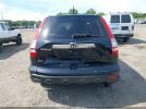 Honda CR-V Ex Image 3