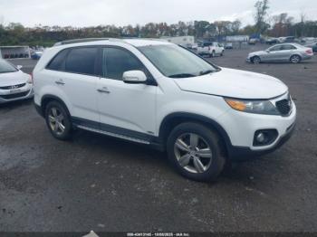  Salvage Kia Sorento