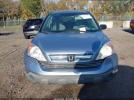 Honda CR-V Ex Image 6