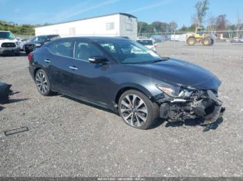  Salvage Nissan Maxima
