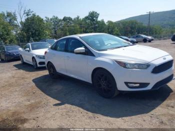  Salvage Ford Focus
