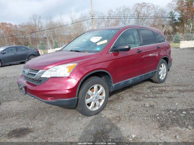Honda CR-V Se Image 8
