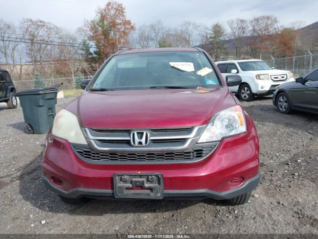 Honda CR-V Se Image 11