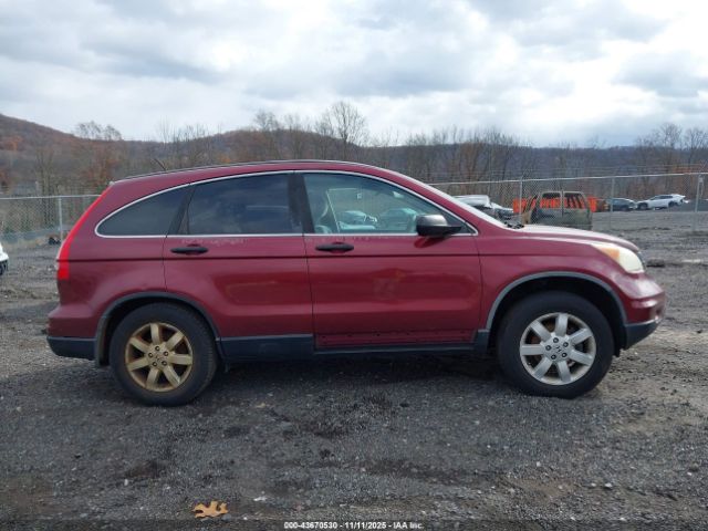 Honda CR-V Se Image 10