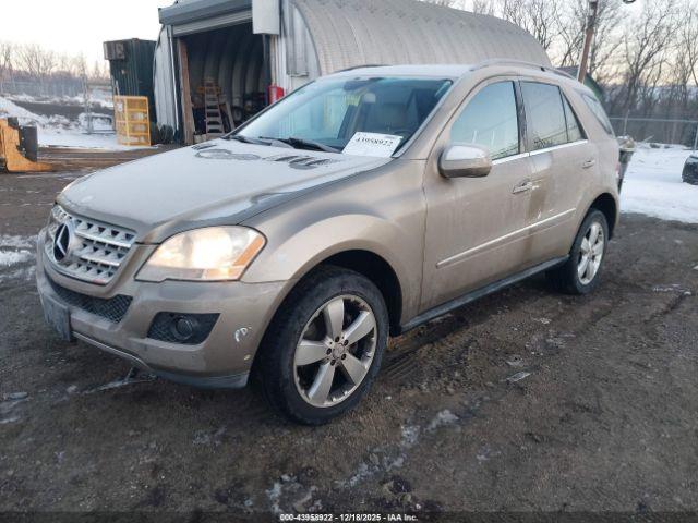 Mercedes-Benz M-Class 4matic Image 10