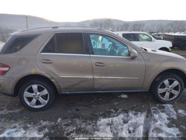 Mercedes-Benz M-Class 4matic Image 6